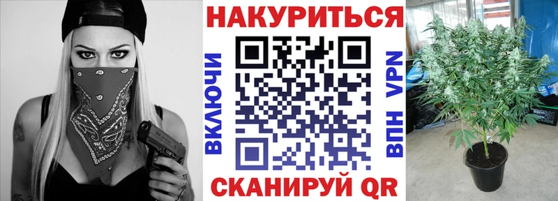 Продажа наркотиков Гатчина Каннабис  Alpha-PVP  Мефедрон 