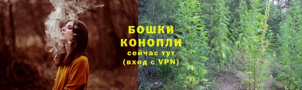 бошки Беломорск