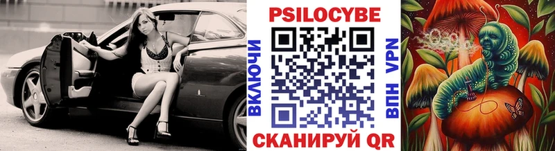 Псилоцибиновые грибы Psilocybine cubensis дарнет шоп Гатчина